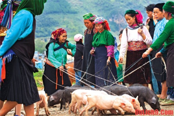 Le marché montagnard de Hà Giang, un vrai régal pour les yeux