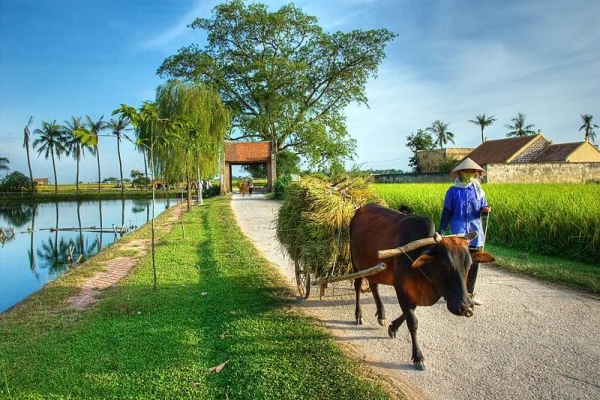 Les villages de métier de Hanoi Vietnam