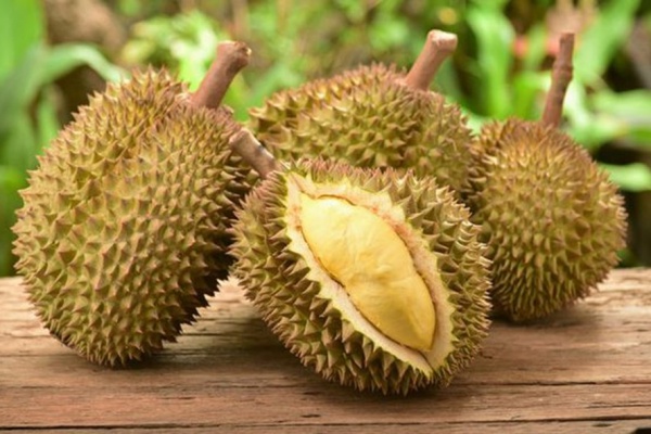 Le durian – roi des fruits au Vietnam