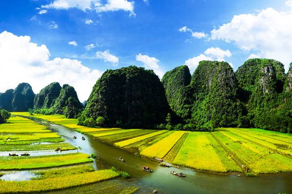 Hang Mua Ninh Binh pour le panorama de la baie Halong terrestre