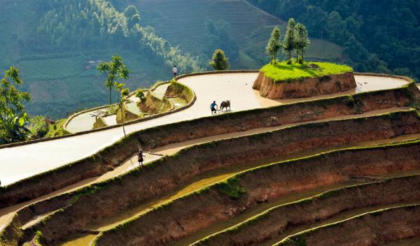 Voyage Vietnam 3 semaines