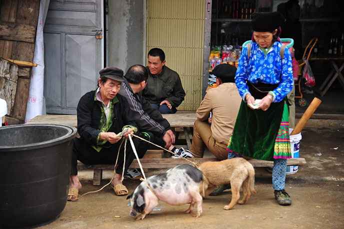 Circuit au Vietnam en Juin