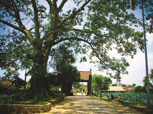 Village de Duong Lam – l’âme des Viets d’autrefois
