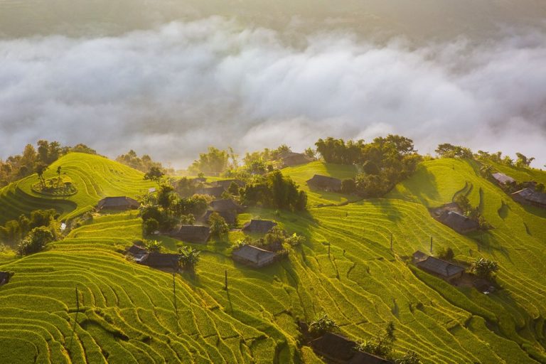 Voyage au Vietnam insolite au milieu des rizières en terrasses