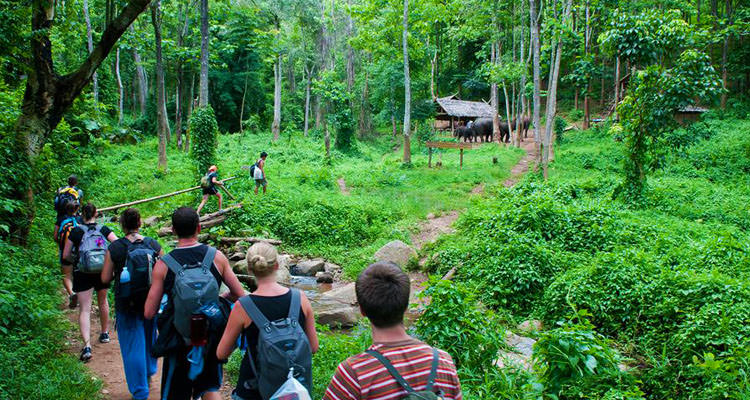 Parc national de Cuc Phuong – Réserve naturelle de Cuc Phuong