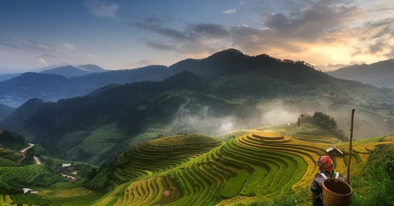 Circuit immersion insolite au Nord Vietnam dans les rizières en terrasses en 18 jours