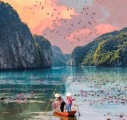 Raisons pour visiter le Vietnam. Pourquoi partir en voyage au Vietnam ?