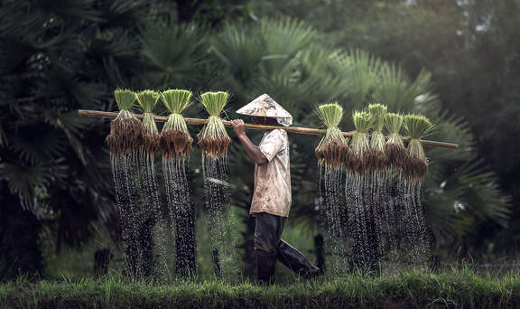 Il y a du chômage au Vietnam ? Taux de chômage au Vietnam
