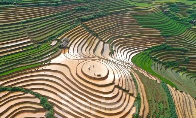 Vietnam 8 jours du Nord / Voyage au Coeur des montagnes de Sapa aux merveilles de la baie d’Halong en 8 jours