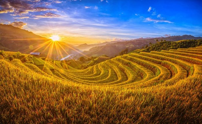 Raisons pour visiter le Vietnam en été / Été au Vietnam: Cap sur les rizières en terrasse du Nord