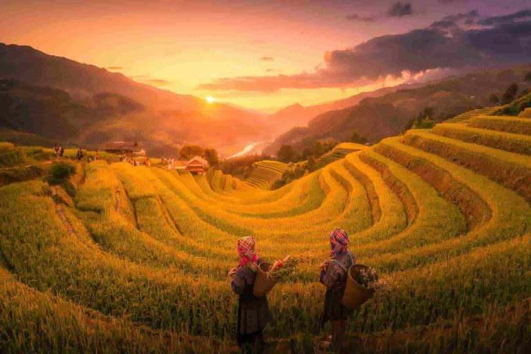 Circuit du Nord au Sud du Vietnam en 15 jours : un voyage complet à travers l’âme du pays