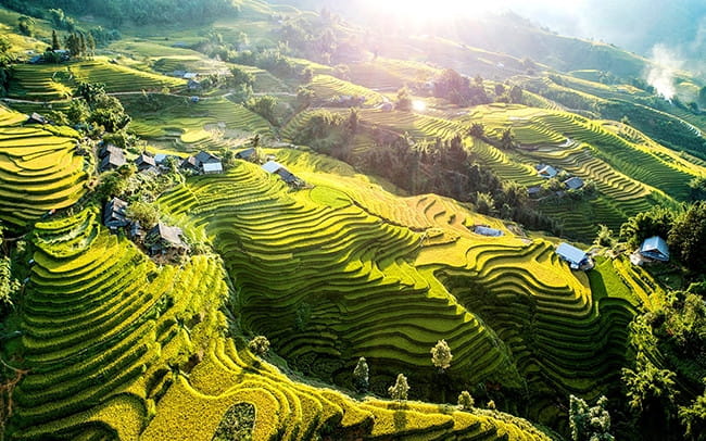 Les rizières en terrasses de Sapa au Nord du Vietnam : entre merveilles naturelles et traditions ancestrales