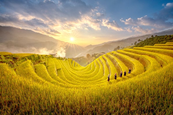 Visiter Mu Cang Chai au Nord du Vietnam – Les plus belles rizières en terrasses du Vietnam